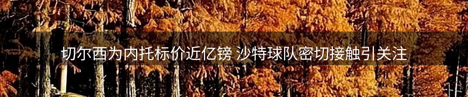 内页banner
