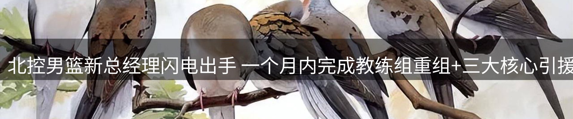 内页banner