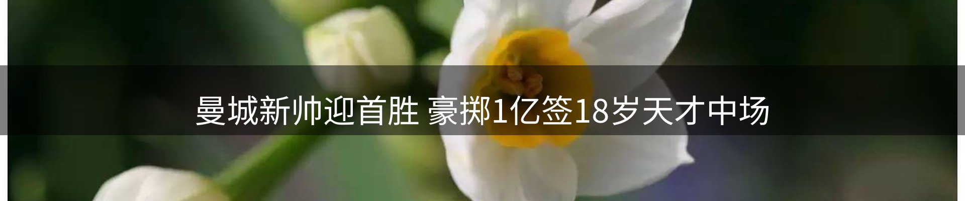 内页banner