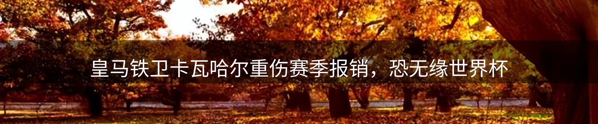内页banner