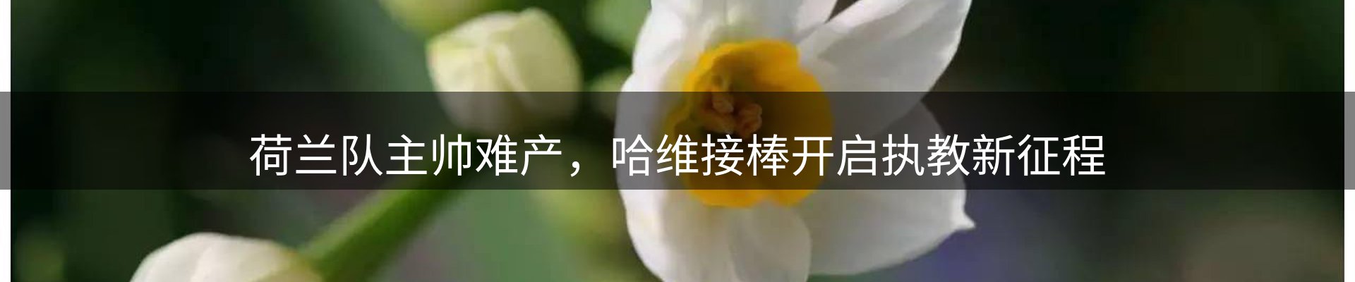 内页banner