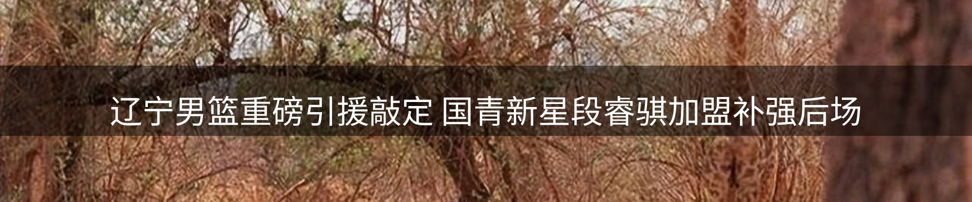 内页banner